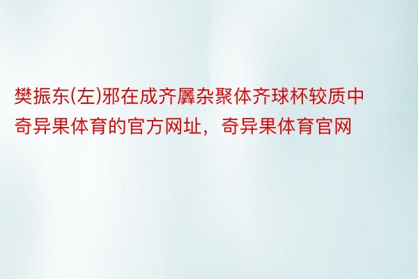 樊振东(左)邪在成齐羼杂聚体齐球杯较质中奇异果体育的官方网址，奇异果体育官网