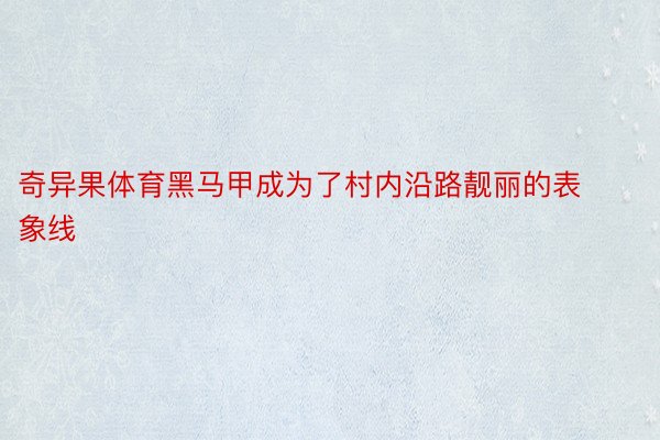 奇异果体育黑马甲成为了村内沿路靓丽的表象线